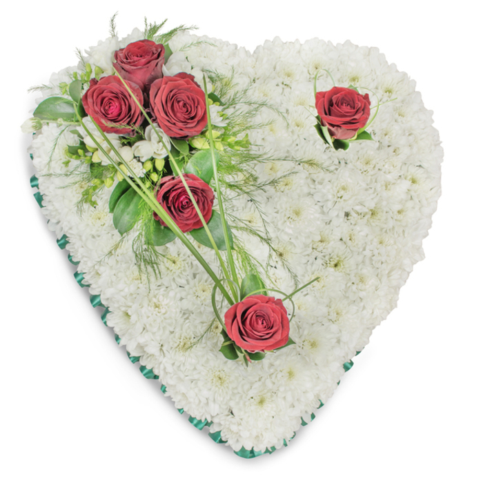This heart-shaped memorial is crafted from a dense, tactile field of small, immaculate white chrysanthemums that create a soft, pillow-like surface, placed against a stark white background so every petal and contour is visible. A triangular spray of foliage and roses rises from the upper left: three saturated, deep-red roses form a tight cluster among glossy broad leaves, slender ferny fronds and a scattering of fine bear-grass blades that add graceful lines and a sense of upward motion. Two further solitary red roses are set with deliberate space-one near the right-hand curve and one at the lower tip-each accompanied by modest green accents that allow the blooms to read as individual remembrances within the whole. Tiny white filler blooms peek among the greens, their soft texture echoing the chrysanthemum bed. The whole heart is edged in a thin band of emerald-green satin ribbon, its smooth sheen lending a formal border that softens the silhouette and glints under soft overhead lighting, casting faint, respectful shadows that reveal depth. The aroma is imagined as the gentle sweetness of roses tempered by fresh leafy notes, a comforting combination suitable for a dimly lit chapel or a peaceful graveside. As a local florist familiar with memorials across Plaistow and neighbouring neighbourhoods, I picture this arrangement standing quietly at a service, a carefully balanced expression of love, reverence and quiet farewell, crafted to sit beside framed photos, candles and a sympathetic congregation.